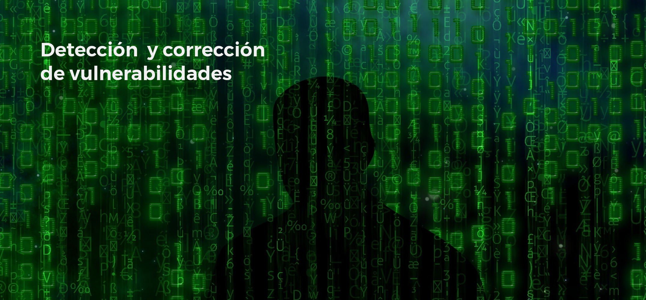 Detección y corrección de vulnerabilidades